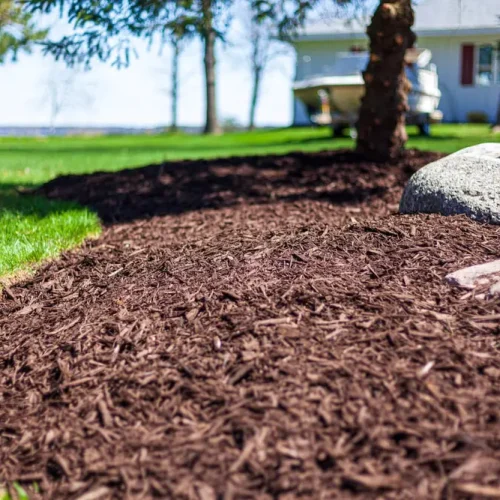 doug-blog-proper-mulching.jpg doug-blog-proper-mulching.jpg